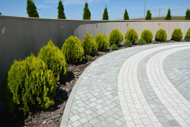Reasons to Select Us for Your Driveway Paving Requirements in Anniston, AL